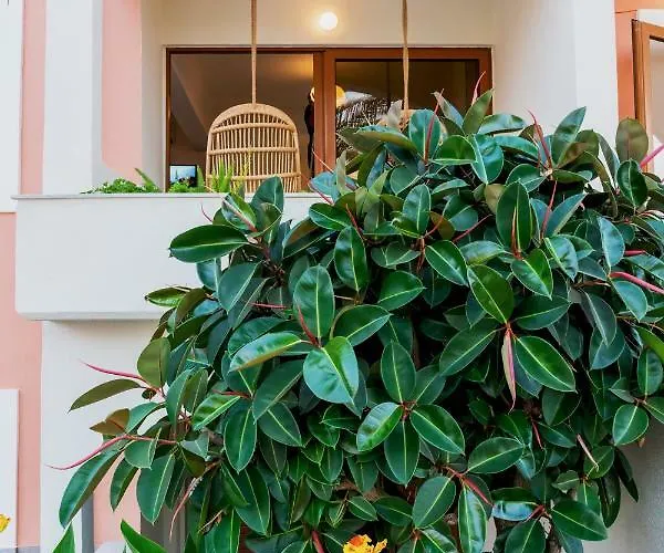 Apartmanhotel Aristea